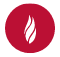 Flare logo